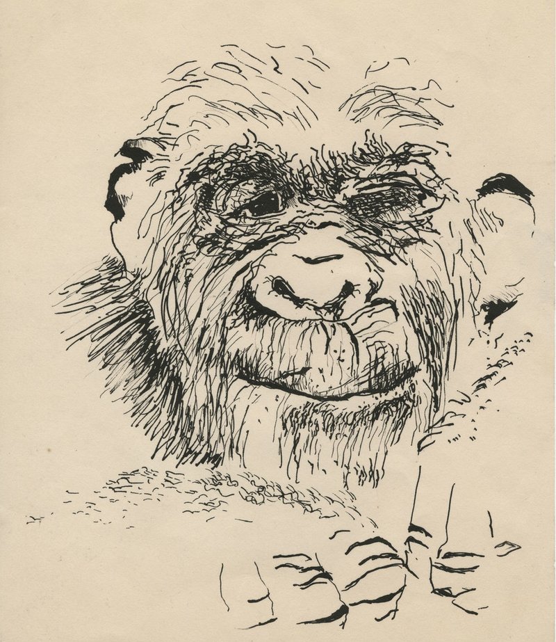Paul McCarthy: Head Space, Drawings 1963–2019