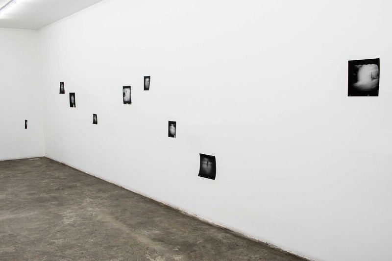 Soft Matter, installation view