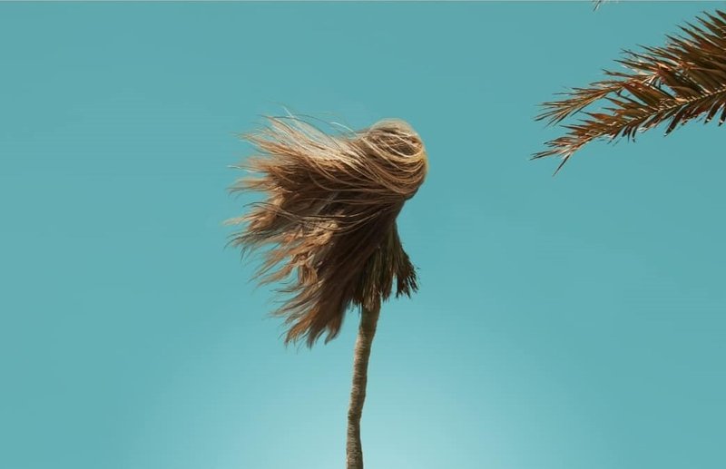 گلسا گلچینی، بدون عنوان
