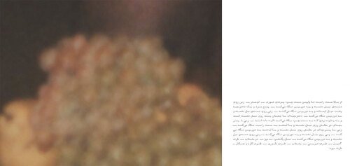 Nastaran Fotouhi, Untitled, 2025