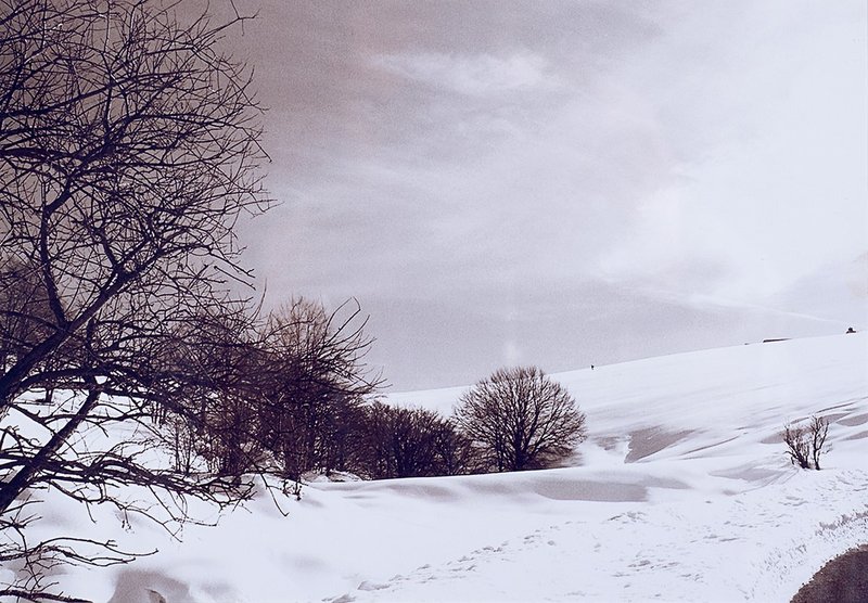 Abbas Gharib, Untitled, 2012