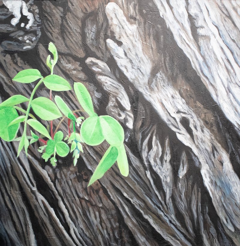Samira Eskandarfar, Untitled, 2016