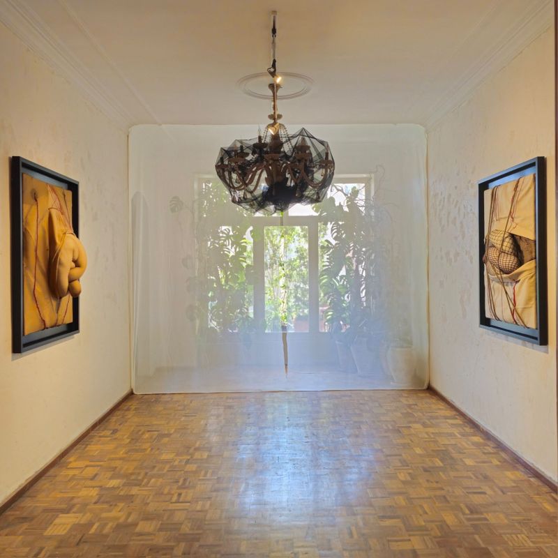 Iris Contemporary Space