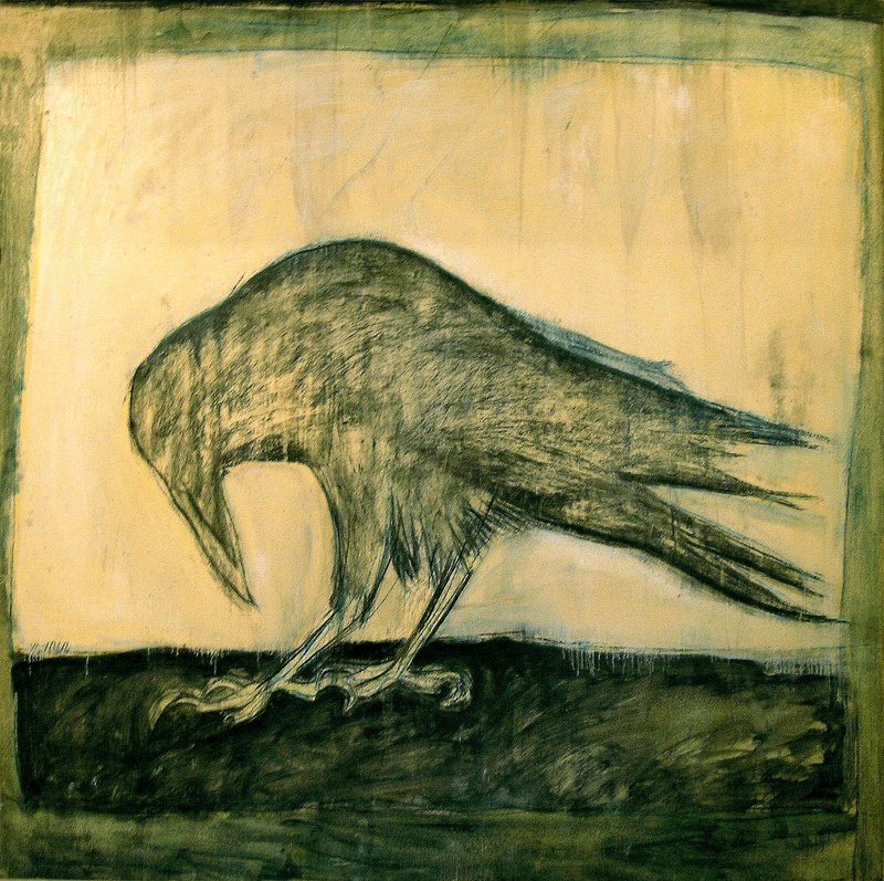 Pantea Rahmani, Crow, 2000
