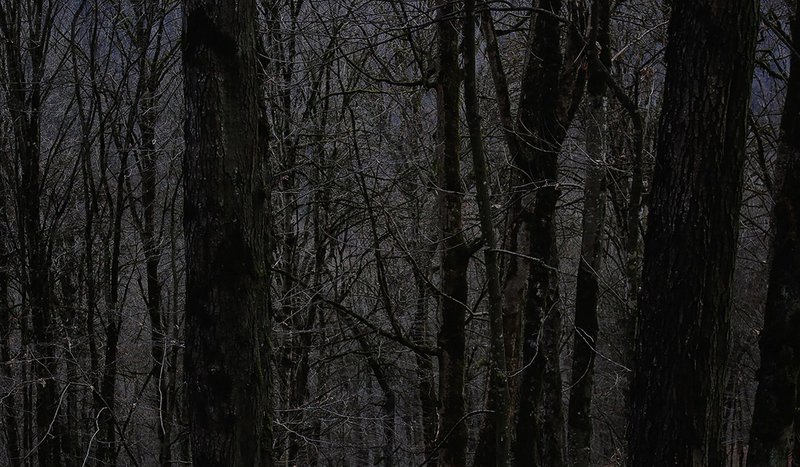 Mina Boromand's "Aphantasia" at Silk Road Art Gallery