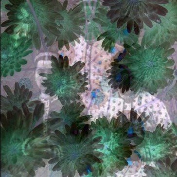 نگاهی در گذر زمان