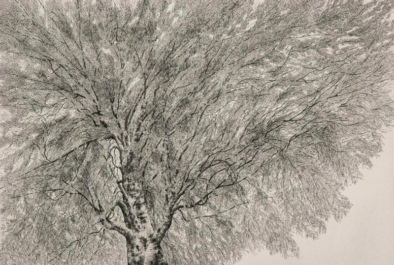 Mahsa Arabzadeh, Untitled, 2021