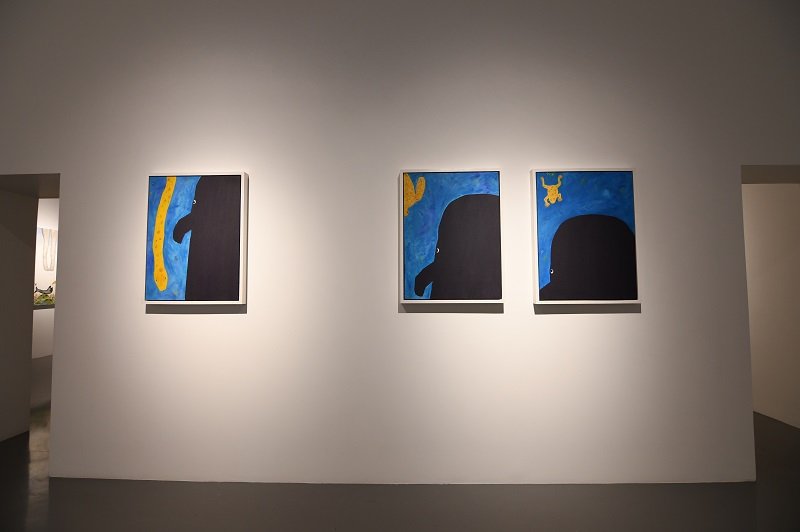 The Forty and One, installation view