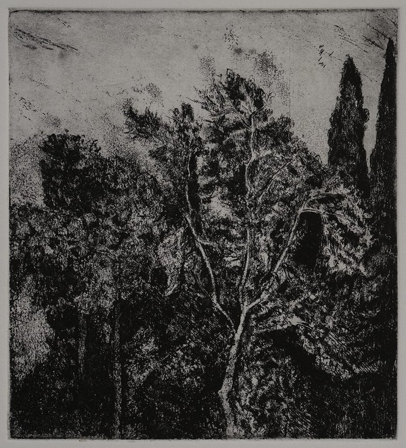 Samaneh Samimi, Untitled, 2021