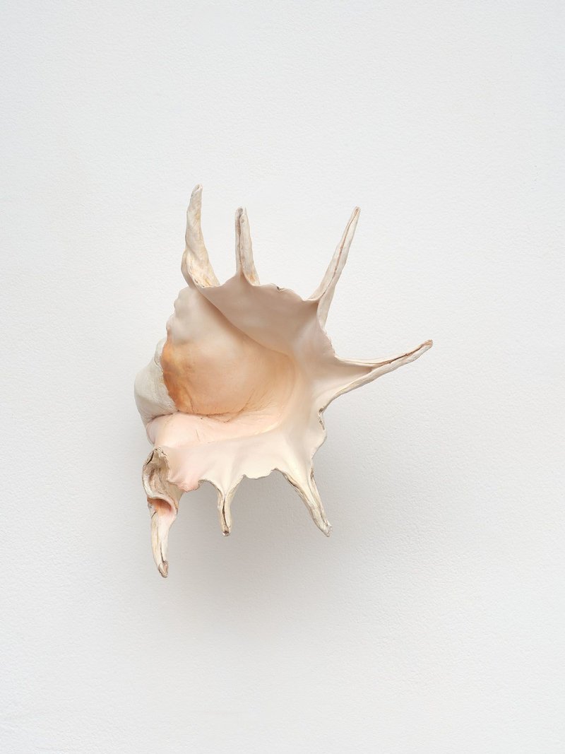 Rosha Yaghmai, Untitled, 2023