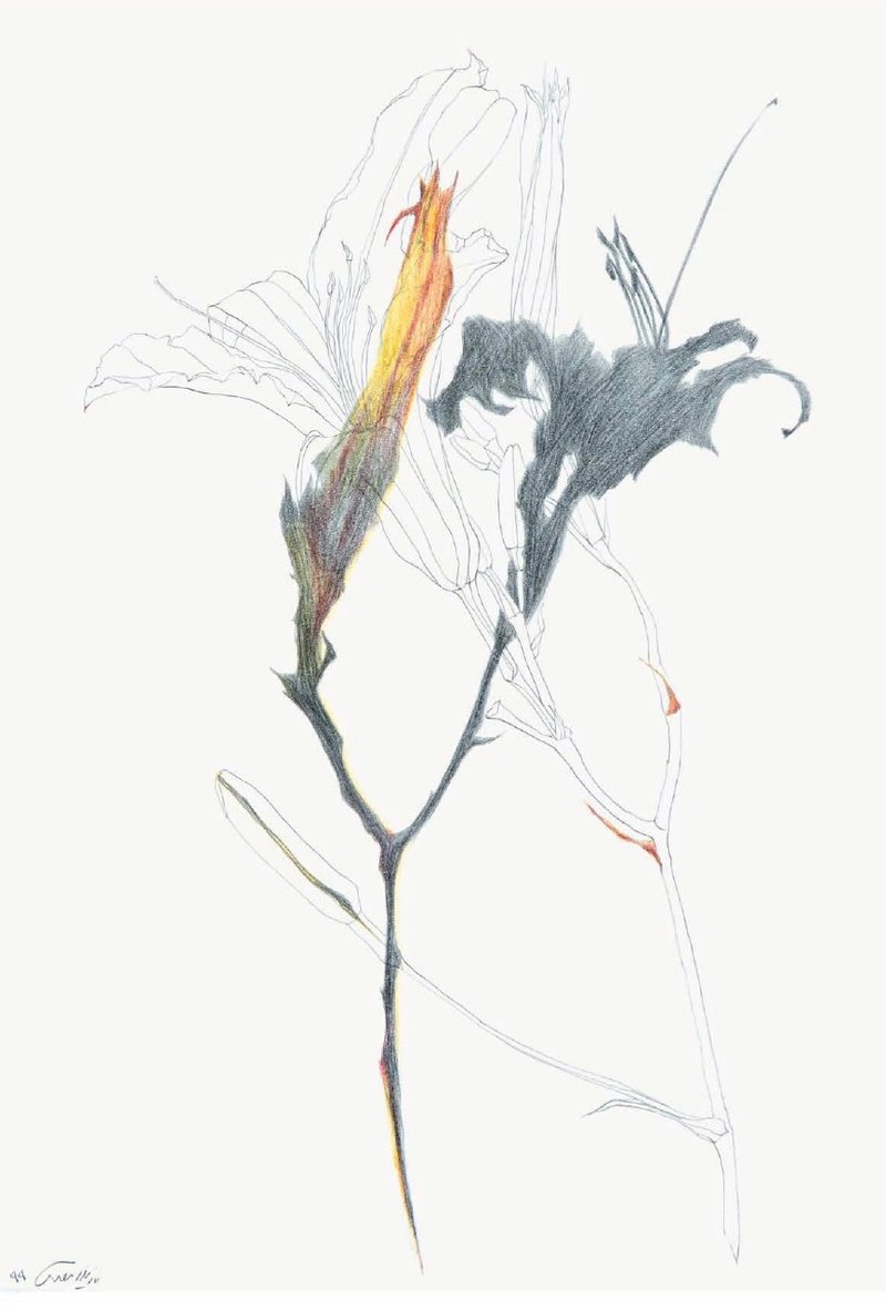 Nazila Moghadam, Untitled, 2020