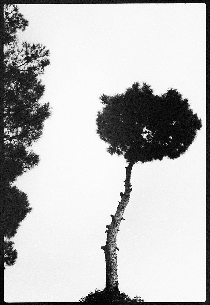 Mehran Mohajer, Untitled, 0