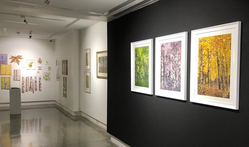 Wandering Gardens, installation view