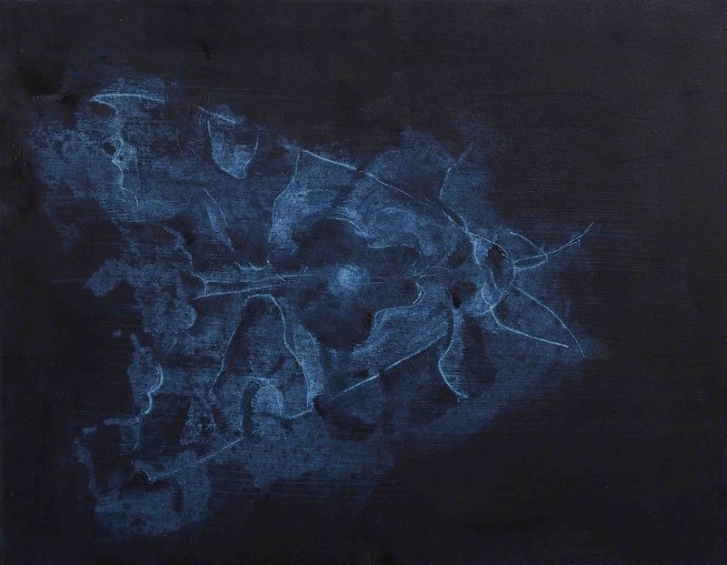 Avish Khebrezadeh, Moth I, 2014
