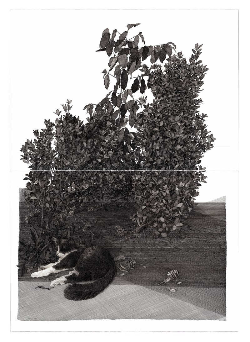 Kasra Golrang, Cat and Coffee Plant, 2021