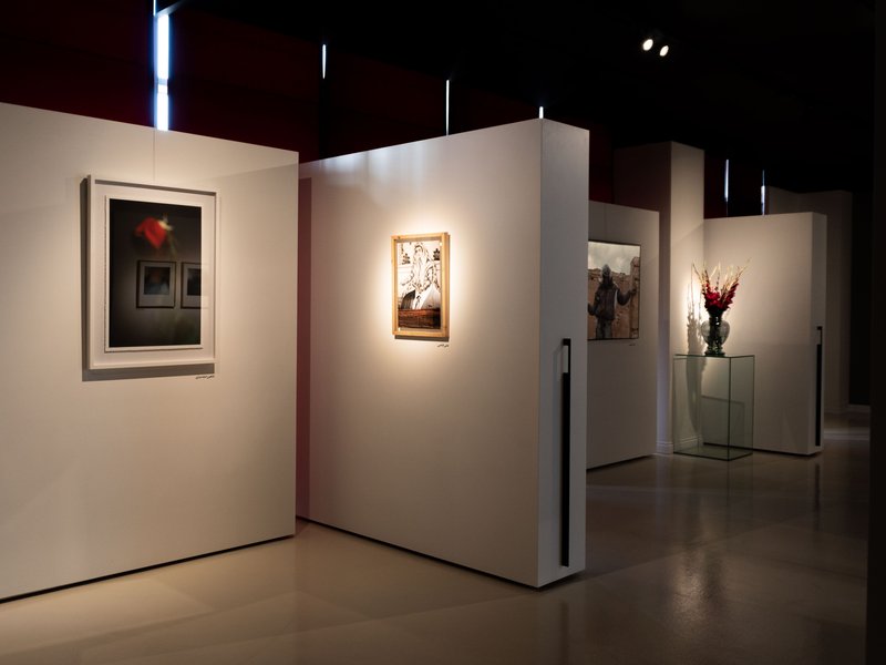 The Nap, installation view