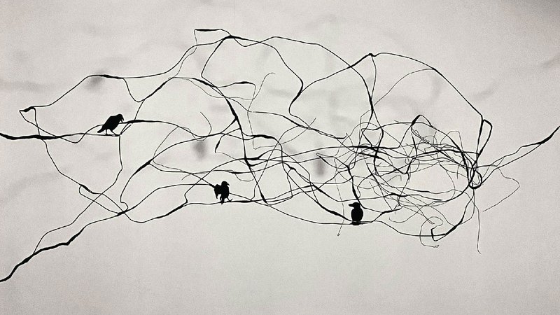 Fatemeh Safari, Untitled, 0