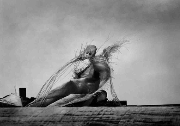 Majid Koorang Beheshti, Untitled, 0