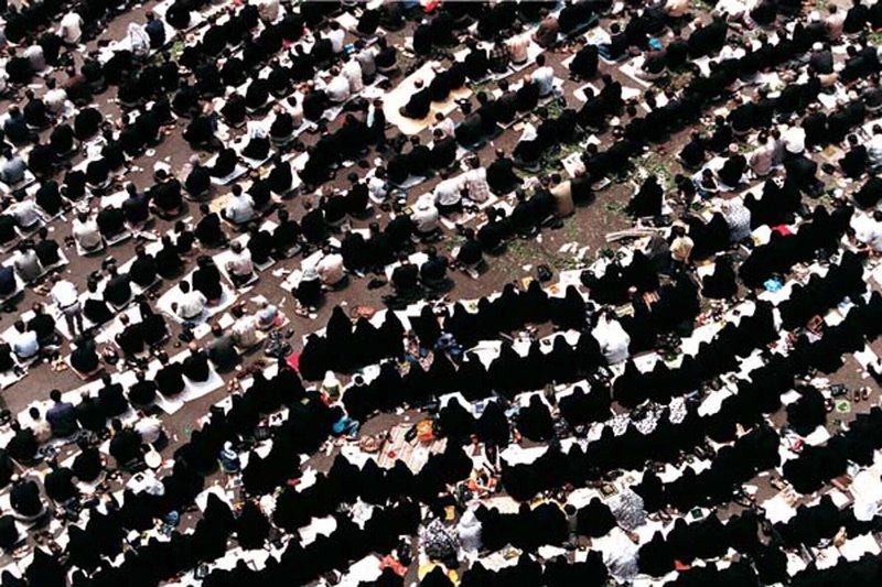 Jamshid Bayrami, Leaves, 2008