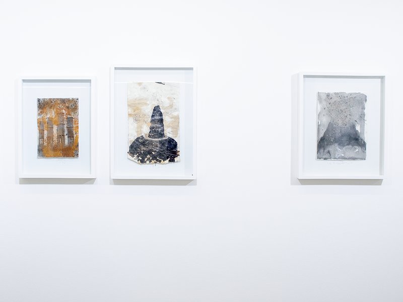 Cognations, Relations, installation view
