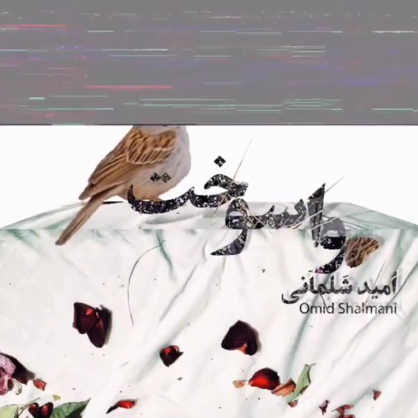 واسوخت