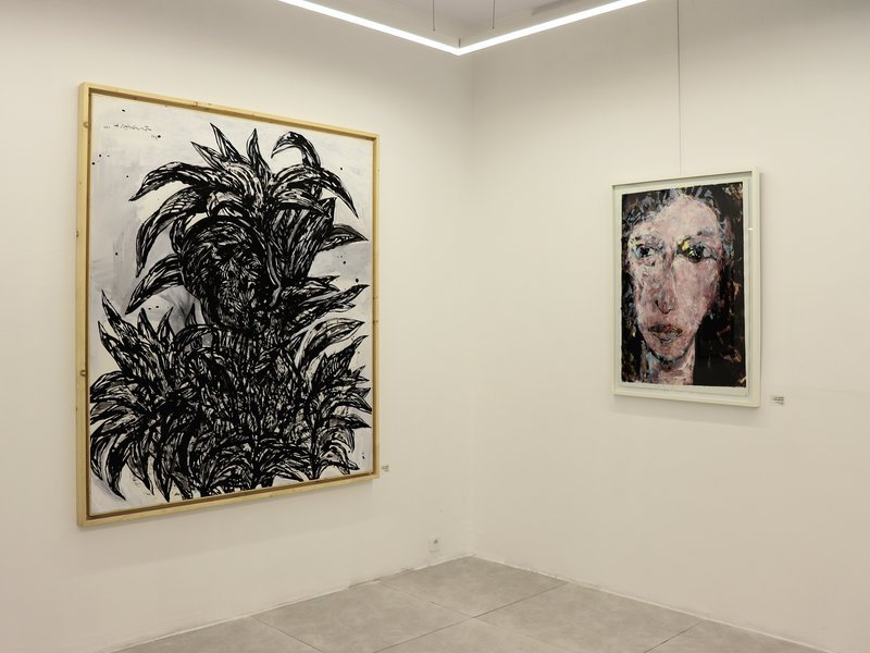 Darrous, 34, installation view