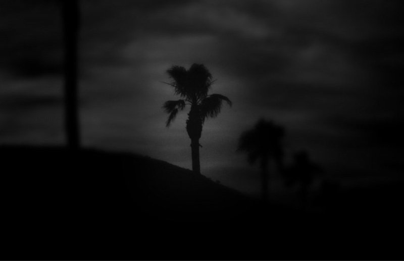 Farshid Mesghali, L.A. 11, 1993
