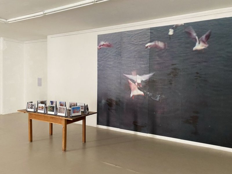 No I Didn't See Anything, installation view