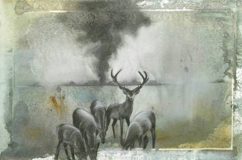Leila Refaahi, Untitled, 0