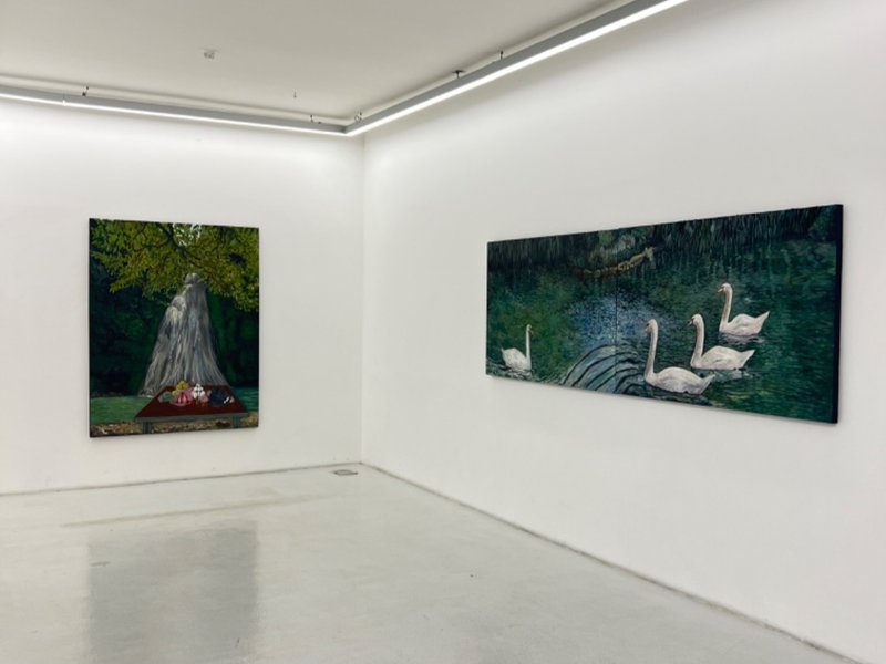A Yard in Search of Life, installation view
