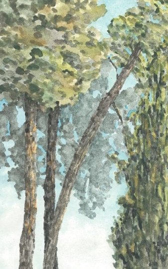 Sale Sharifi, Untitled, 0