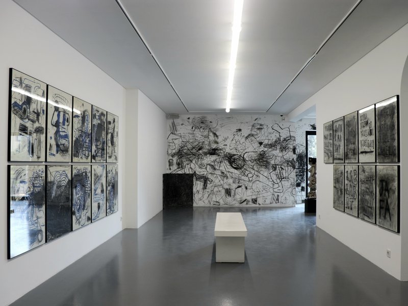 Installation view.