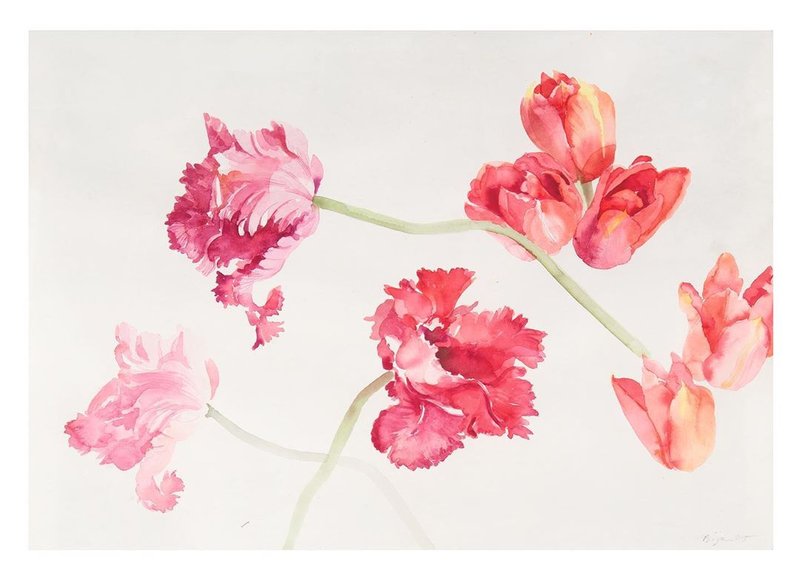 Bijan Saffari, Untitled, 0