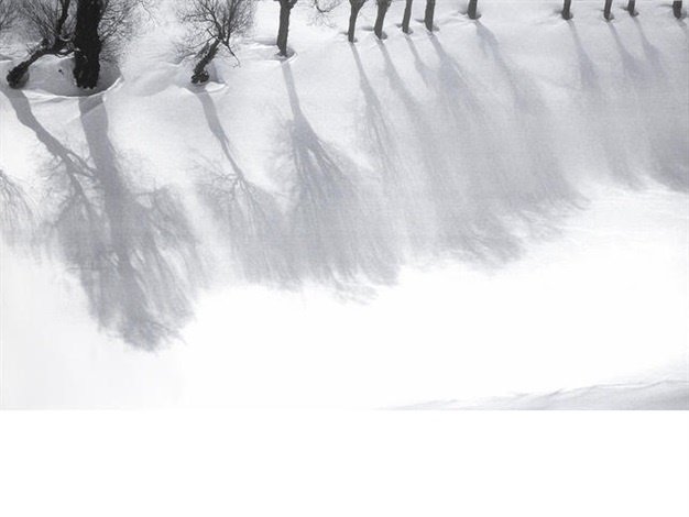 Abbas Kiarostami, Untitled, 0