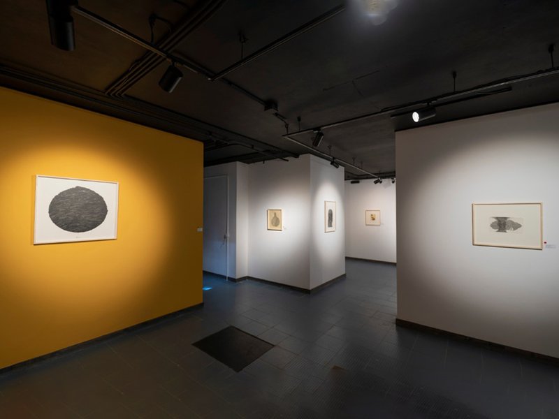 Extinct Condition, installation view