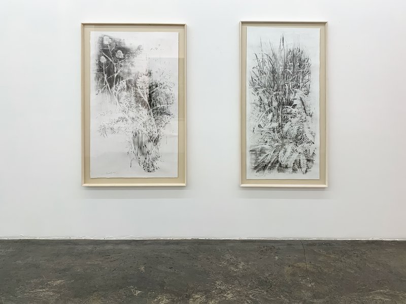 The Washed Light, installation view