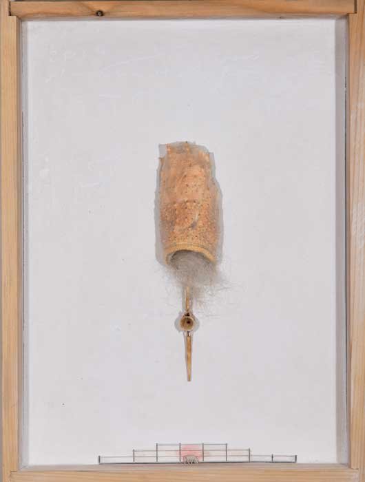 Shahla Hosseini, Untitled, 2015