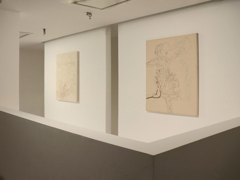 Crossing the Shadows, installation view