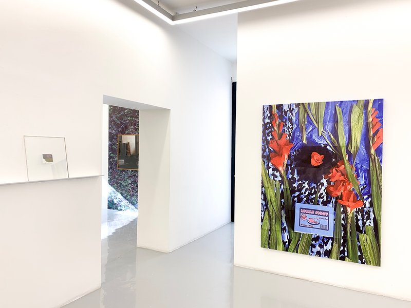 Photogenic, installation view