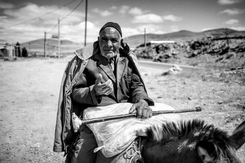 سجاد باقری، بدون عنوان