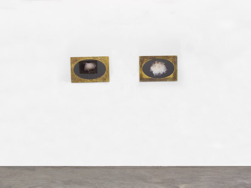 Annotations for Laili, installation view