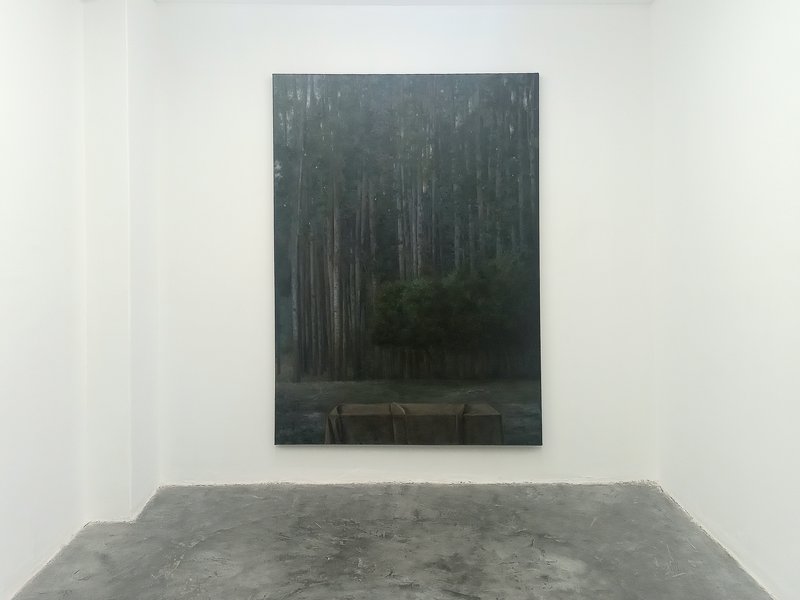 Dust, installation view