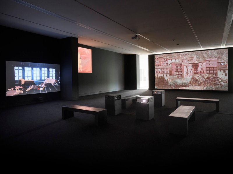 Death Fan, installation view