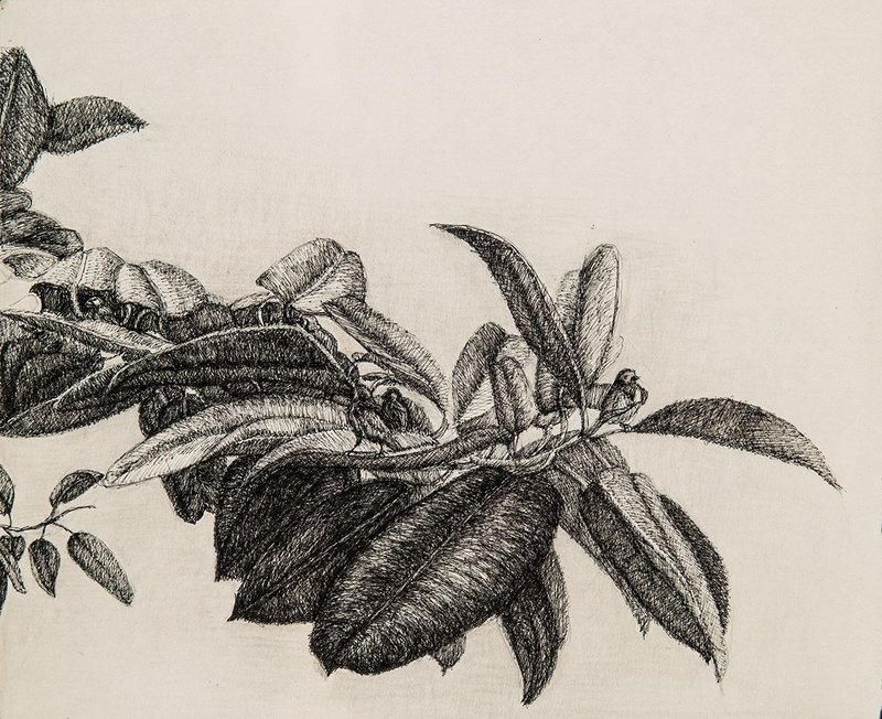 Manijeh Akhavan, Untitled, 2019