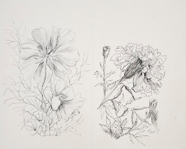 Monir Shahroudy Farmanfarmaian, Hibiscus and Carnation, 1984