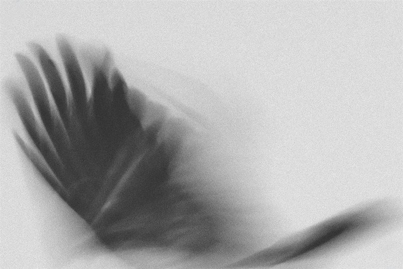 Rokhsareh Okhovat, Untitled, 0