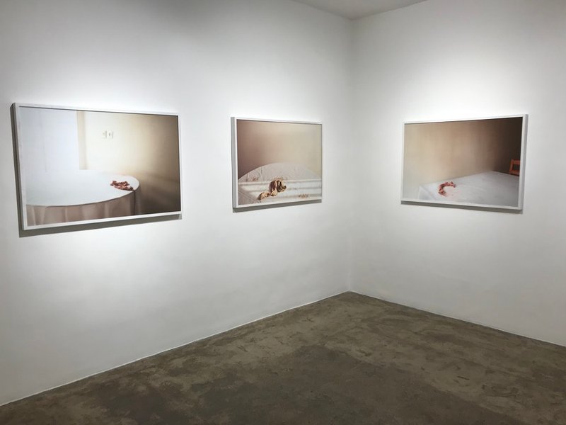 Duo Photo Exhibition, installation view