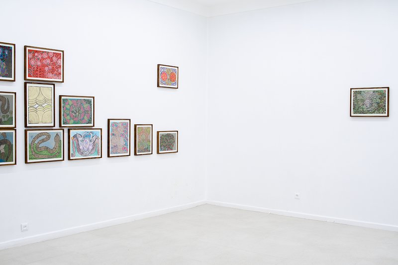 Domesticated Flowers, installation view