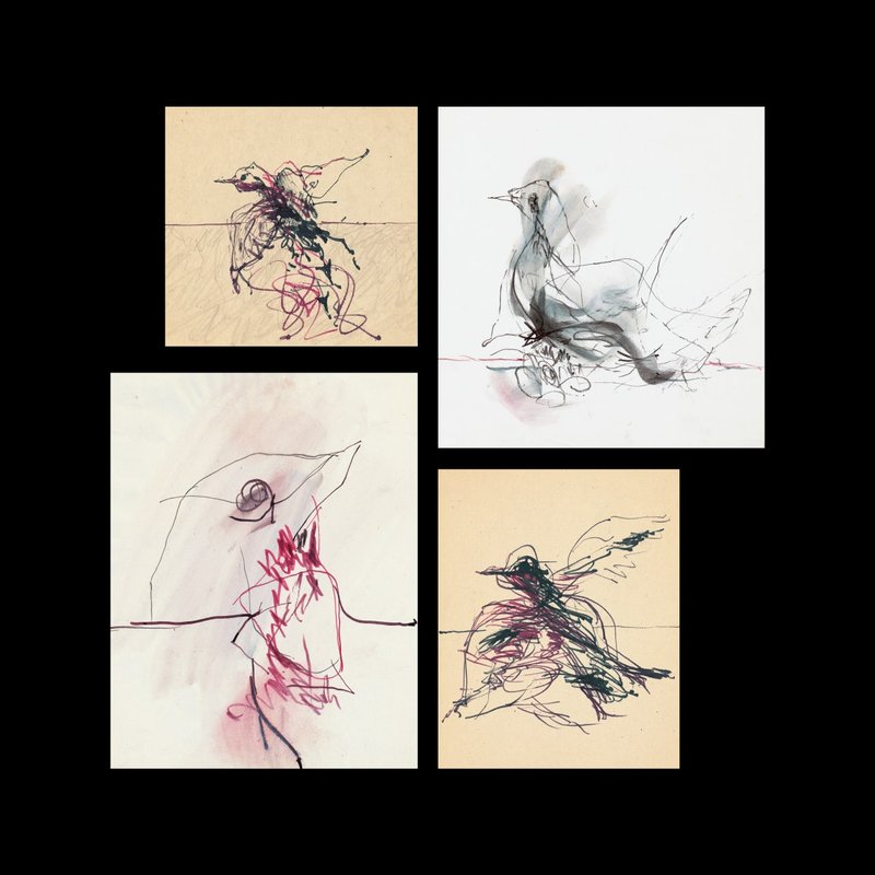 Koorosh Shishegaran, Birds, 1982
