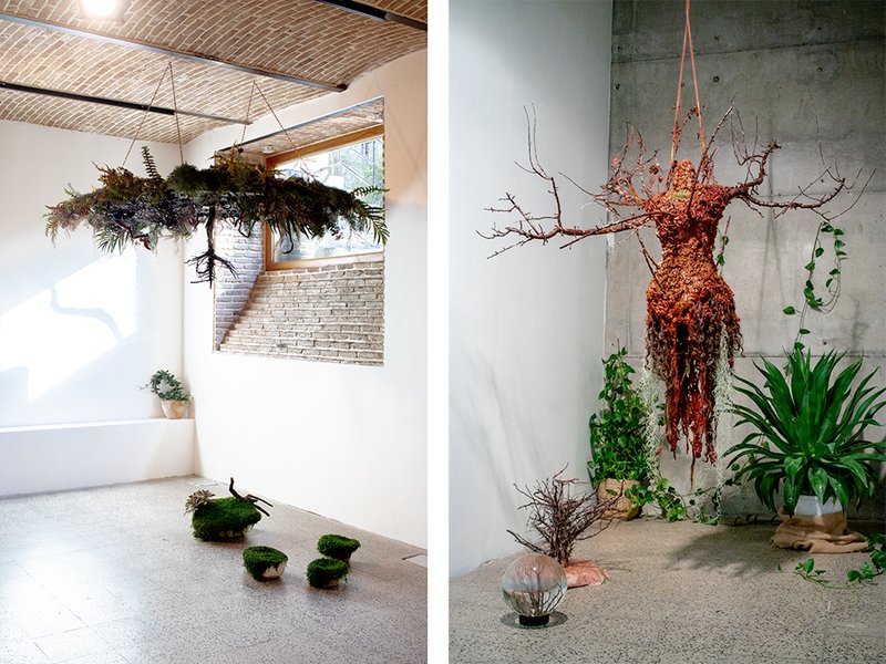 The Inverted tree, installation view